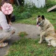 ヒメ日記 2025/03/24 08:03 投稿 園田みのり お姉さんCLUB