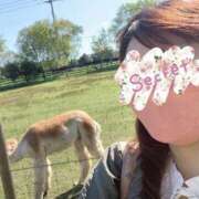 ヒメ日記 2025/03/25 00:18 投稿 園田みのり お姉さんCLUB