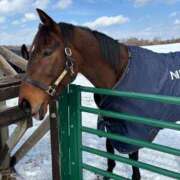 ヒメ日記 2025/04/04 08:03 投稿 園田みのり お姉さんCLUB