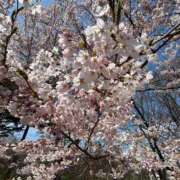 ヒメ日記 2025/05/05 19:03 投稿 園田みのり お姉さんCLUB