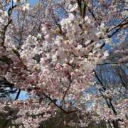 ヒメ日記 2025/05/18 01:33 投稿 園田みのり お姉さんCLUB