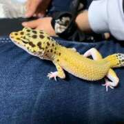 ヒメ日記 2025/09/14 17:10 投稿 園田みのり お姉さんCLUB