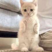 ヒメ日記 2025/06/19 16:38 投稿 ゆりな 白いぽっちゃりさん仙台店