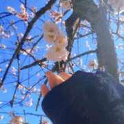 ヒメ日記 2025/03/08 17:42 投稿 香梨(かりん) 相模原人妻城