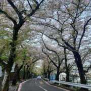 ヒメ日記 2025/04/12 09:03 投稿 香梨(かりん) 相模原人妻城