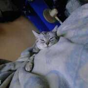 ヒメ日記 2025/04/22 00:18 投稿 香梨(かりん) 相模原人妻城