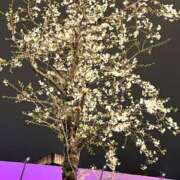 ヒメ日記 2025/03/29 22:29 投稿 みなみ 完熟ばなな八王子