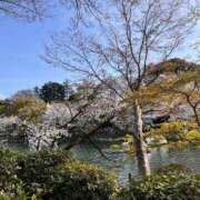 ヒメ日記 2025/04/05 20:29 投稿 みなみ 完熟ばなな八王子