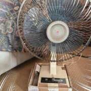 ヒメ日記 2025/06/16 01:49 投稿 みなみ 完熟ばなな八王子