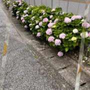 ヒメ日記 2025/06/17 08:59 投稿 みなみ 完熟ばなな八王子