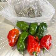 ヒメ日記 2026/03/27 12:19 投稿 みなみ 完熟ばなな八王子