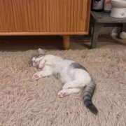 ヒメ日記 2025/06/23 17:34 投稿 大宮校なぎ クンニ専門店 おクンニ学園 池袋校