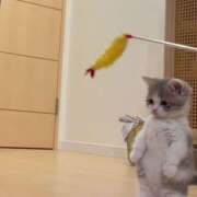 ヒメ日記 2025/06/29 10:01 投稿 大宮校なぎ クンニ専門店 おクンニ学園 池袋校