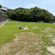 ヒメ日記 2025/04/14 10:33 投稿 Fuka LUXURY（ラグジュアリー）