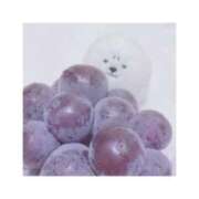 ヒメ日記 2025/09/12 11:04 投稿 つむぎ 海上空天 SHANGHAI HEAVEN