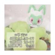 ヒメ日記 2025/10/31 22:00 投稿 つむぎ 海上空天 SHANGHAI HEAVEN