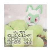 ヒメ日記 2025/11/09 21:16 投稿 つむぎ 海上空天 SHANGHAI HEAVEN