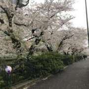 ヒメ日記 2025/03/27 15:55 投稿 ミナミ ソープランドMAX‐マックス- 浅草店