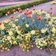 ヒメ日記 2025/06/09 15:45 投稿 ミナミ ソープランドMAX‐マックス- 浅草店