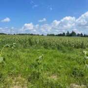 ヒメ日記 2025/07/12 16:45 投稿 ミナミ ソープランドMAX‐マックス- 浅草店