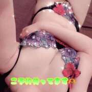 ヒメ日記 2025/08/23 19:02 投稿 れいな the SPA KADOEBI