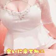 ヒメ日記 2026/01/29 08:02 投稿 れいな the SPA KADOEBI