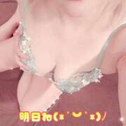 ヒメ日記 2026/02/15 19:12 投稿 れいな the SPA KADOEBI