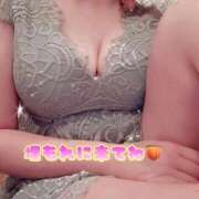 ヒメ日記 2026/02/27 07:52 投稿 れいな the SPA KADOEBI