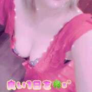 ヒメ日記 2026/03/05 12:52 投稿 れいな the SPA KADOEBI