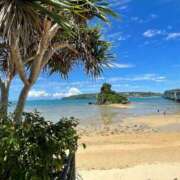 彩羽(さわ) 出勤予定💜 可憐な妻たち 高崎店