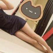 ヒメ日記 2025/04/06 10:22 投稿 つくし エマニエル