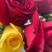 ヒメ日記 2025/02/04 12:32 投稿 岩下しの 松戸人妻花壇