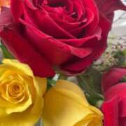 ヒメ日記 2025/02/10 12:36 投稿 岩下しの 松戸人妻花壇