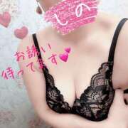 ヒメ日記 2025/02/14 16:32 投稿 岩下しの 松戸人妻花壇