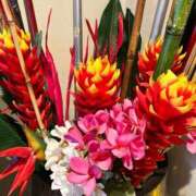 ヒメ日記 2025/02/23 16:41 投稿 岩下しの 松戸人妻花壇