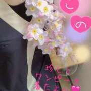 ヒメ日記 2025/04/04 19:31 投稿 岩下しの 松戸人妻花壇