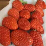 ヒメ日記 2025/04/18 16:37 投稿 岩下しの 松戸人妻花壇