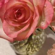 ヒメ日記 2025/06/10 14:25 投稿 岩下しの 松戸人妻花壇