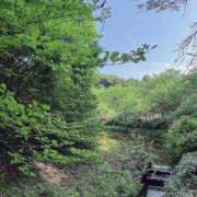 ヒメ日記 2025/06/29 16:34 投稿 岩下しの 松戸人妻花壇