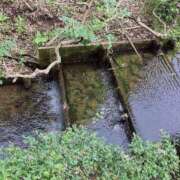 ヒメ日記 2025/07/08 18:49 投稿 岩下しの 松戸人妻花壇