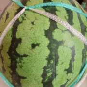 ヒメ日記 2025/07/09 18:43 投稿 岩下しの 松戸人妻花壇