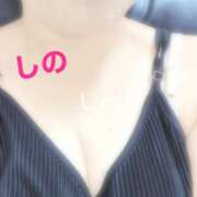 ヒメ日記 2025/07/10 04:39 投稿 岩下しの 松戸人妻花壇