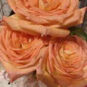 ヒメ日記 2025/07/11 18:23 投稿 岩下しの 松戸人妻花壇