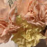 ヒメ日記 2025/07/14 19:59 投稿 岩下しの 松戸人妻花壇