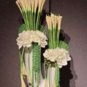 ヒメ日記 2025/07/21 23:42 投稿 岩下しの 松戸人妻花壇