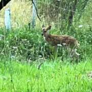 ヒメ日記 2025/07/30 09:58 投稿 岩下しの 松戸人妻花壇