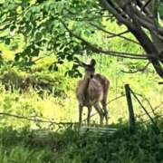 ヒメ日記 2025/08/06 05:16 投稿 岩下しの 松戸人妻花壇