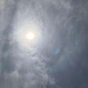 ヒメ日記 2025/08/07 13:26 投稿 岩下しの 松戸人妻花壇