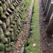 ヒメ日記 2025/09/02 05:45 投稿 岩下しの 松戸人妻花壇