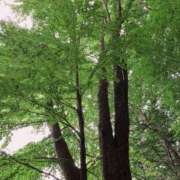 ヒメ日記 2025/09/02 18:34 投稿 岩下しの 松戸人妻花壇